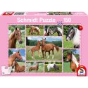 Puzzle 150 el. Konie Schmidt - puzzle