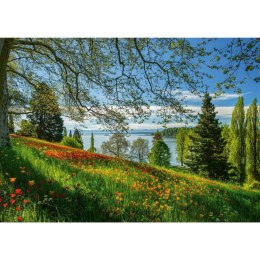 PQ Puzzle 1000 el. Wyspa kwitnących tulipanów Schmidt - puzzle