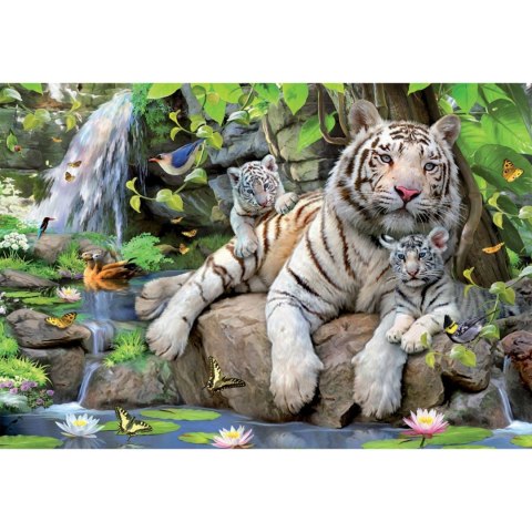 Puzzle 1000 el. Białe tygrysy bengalskie Educa