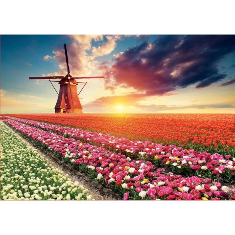 Puzzle 1500 el. Pole tulipanów Educa