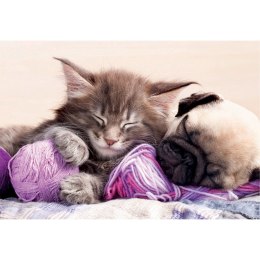 Puzzle 500 el. Towarzysze snów Educa