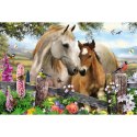 Puzzle 150 el. Klacz i źrebię Schmidt - puzzle