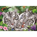 Puzzle 150 el. Rodzina tygrysów Schmidt - puzzle