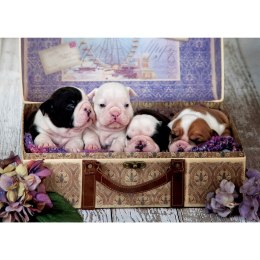 Puzzle 500 el. Szczenięta Educa