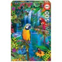 Puzzle 500 el. Tropikalne papugi Educa