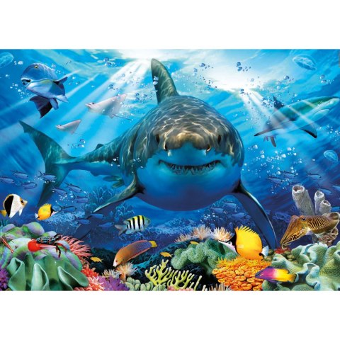 Puzzle 500 el. Żarłacz biały Educa