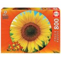Puzzle 800 el. Słonecznik (okrągłe) Educa