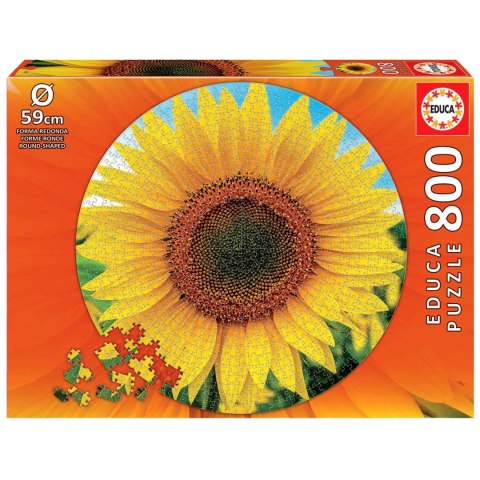 Puzzle 800 el. Słonecznik (okrągłe) Educa
