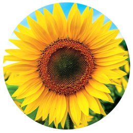 Puzzle 800 el. Słonecznik (okrągłe) Educa