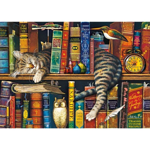 PQ Puzzle 1000 el. CHARLES WYSOCKI Fryderyk - Pisarz Schmidt - puzzle