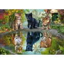 PQ Puzzle 1000 el. Miej wielkie marzenia! Schmidt - puzzle