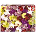 Puzzle 1000 el. Storczyki Educa