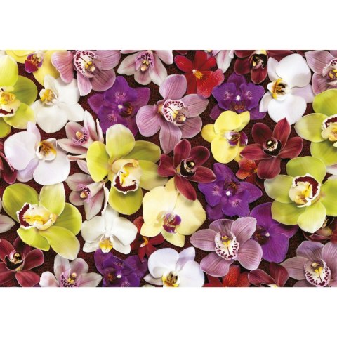 Puzzle 1000 el. Storczyki Educa