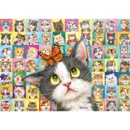 PQ Puzzle 1000 el. Kocia mimika Schmidt - puzzle