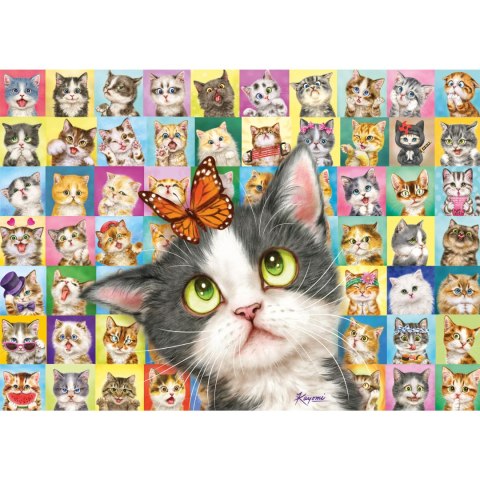PQ Puzzle 1000 el. Kocia mimika Schmidt - puzzle