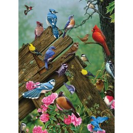 Puzzle 1000 el. Ptaki leśne Cobble Hill