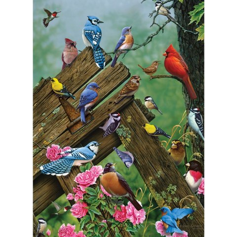 Puzzle 1000 el. Ptaki leśne Cobble Hill