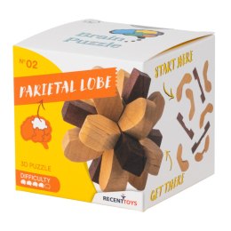 Brain Puzzle 2 - Parietal Lobe - łamigłówka Recent Toys - poziom 4/5 Recent Toys