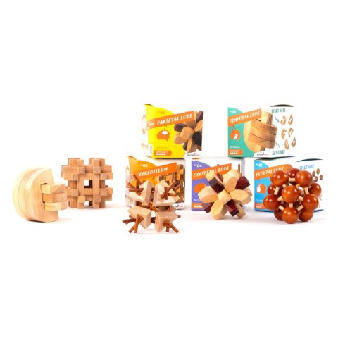 Brain Puzzle 2 - Parietal Lobe - łamigłówka Recent Toys - poziom 4/5 Recent Toys