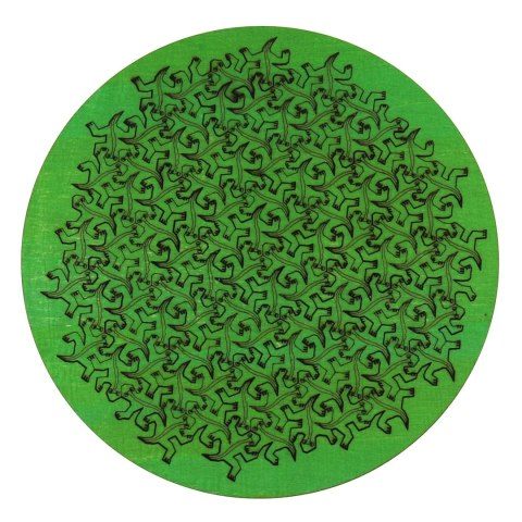Łamigłówka WACKO - Gecko - poziom 4/4 Eureka 3D