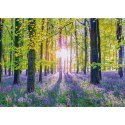 PQ Puzzle 1000 el. Drzwi do lasu Schmidt - puzzle