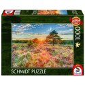 PQ Puzzle 1000 el. Zachód słońca na wrzosowisku Schmidt - puzzle