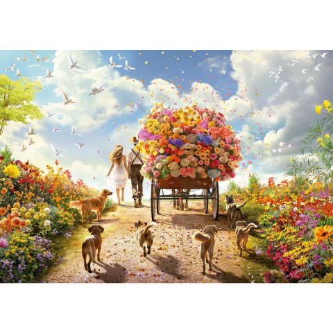 Puzzle 1000 el. Kwiecisty spacer Educa