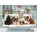 Puzzle 350 el. Koledzy z werandy Cobble Hill