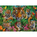 Puzzle 500 el. Tygrysy w dżungli Educa