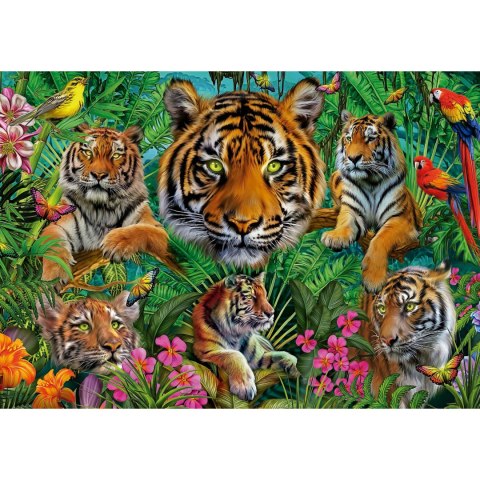Puzzle 500 el. Tygrysy w dżungli Educa