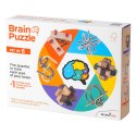 Brain Puzzle (zestaw 6 łamigłówek) Recent Toys