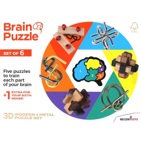 Brain Puzzle (zestaw 6 łamigłówek) Recent Toys