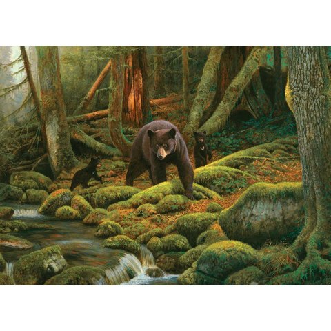Puzzle 1000 el. Rodzina niedźwiedzi Cobble Hill