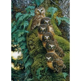 Puzzle 1000 el. Sowia rodzina Cobble Hill