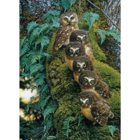 Puzzle 1000 el. Sowia rodzina Cobble Hill
