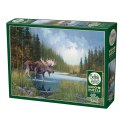 Puzzle 1000 el. Spacer nad rzeką Cobble Hill