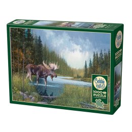 Puzzle 1000 el. Spacer nad rzeką Cobble Hill