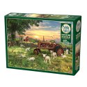 Puzzle 1000 el. Wschód słońca na wsi Cobble Hill