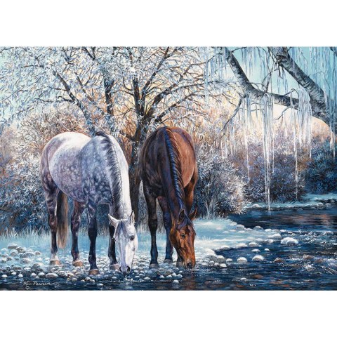 Puzzle 500 el. Piękno zimy Cobble Hill