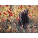 Puzzle 500 el. Pobudka z zimowego snu Cobble Hill