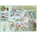 Puzzle 500 el. Zimowe ptaki Cobble Hill