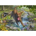 PQ Puzzle 1000 el. MARK FREDRICKSON Spacer z psem Schmidt - puzzle