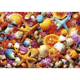 Puzzle 1000 el. Kolorowe muszelki Educa