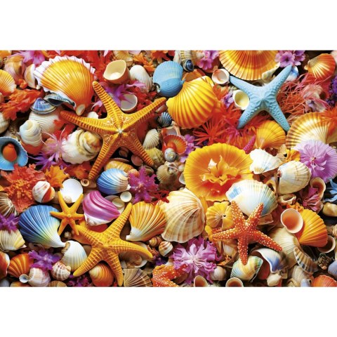 Puzzle 1000 el. Kolorowe muszelki Educa