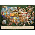 Puzzle 1000 el. Ptaki - symbole amerykańskich stanów Cobble Hill