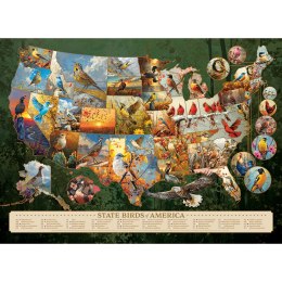 Puzzle 1000 el. Ptaki - symbole amerykańskich stanów Cobble Hill