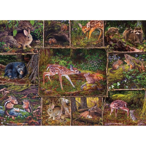 Puzzle 350 el. Drzwi do lasu Cobble Hill