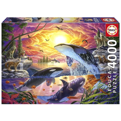 Puzzle 4000 el. Uwolnić orkę Educa