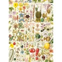 Puzzle 1000 el. Botaniczna rozkosz Gibsons