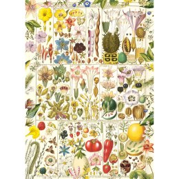 Puzzle 1000 el. Botaniczna rozkosz Gibsons